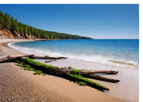 munising,beach landscape,sechelt,wood and beach,beautiful beaches,lake baikal,lake superior,beautiful beach,raincoast,tadoussac,leelanau,mountain beach,mackinac island,coastal landscape,great lakes,vancouver island,cliff beach,beach scenery,oscoda,mackinac,Photography,Documentary Photography,Documentary Photography 27