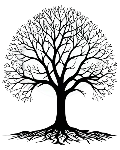 tree silhouette,old tree silhouette,celtic tree,the branches of the tree,tree of life,arbre,tree thoughtless,flourishing tree,lonetree,arbol,circle around tree,arboreal,genealogist,isolated tree,goodtree,bodhi tree,magic tree,branching,tree,tree heart,Illustration,Realistic Fantasy,Realistic Fantasy 42