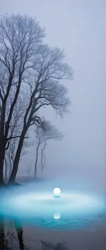 foggy landscape,veil fog,ring fog,mist,ground fog,fog banks,isolated tree,north american fog,emission fog,dense fog,fog,wave of fog,tern in mist,the fog,high fog,sea of fog,blue hour,blue moon,long exposure light,early fog,Conceptual Art,Graffiti Art,Graffiti Art 11