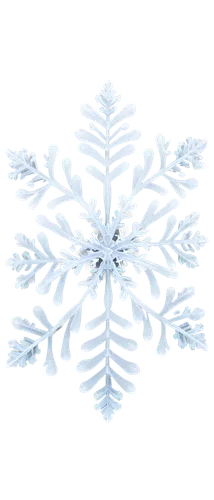 snowflake background,christmas snowflake banner,blue snowflake,wreath vector,snow flake,white snowflake,snowflake,gold foil snowflake,christmas tree pattern,summer snowflake,ice crystal,snowflakes,christmas snowy background,snowflake cookies,christmas pattern,flowers png,christmas motif,winter aster,red snowflake,flannel flower,Illustration,American Style,American Style 04