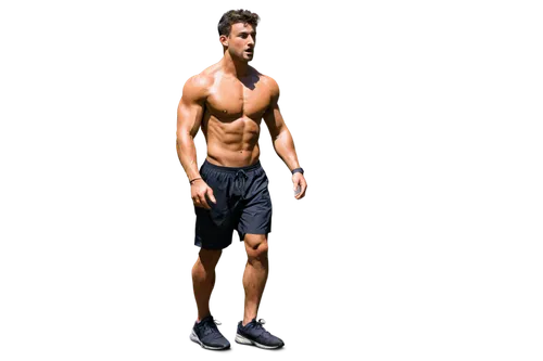 derivable,hrithik,3d figure,png transparent,tracers,athletic body,chmerkovskiy,shirtless,3d rendered,transparent image,jogger,fitnes,torso,3d render,transparent background,3d rendering,3d background,polykleitos,sidharth,hotman,Art,Artistic Painting,Artistic Painting 40