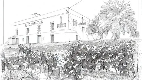 house drawing,lafayette park,balmoral hotel,hand-drawn illustration,the palm house,palm house,people's house,charleston,crowds,athenaeum,presidential palace,the white house,henry g marquand house,lithograph,philharmonic hall,legislature,residence,camera illustration,hacienda,lecture hall