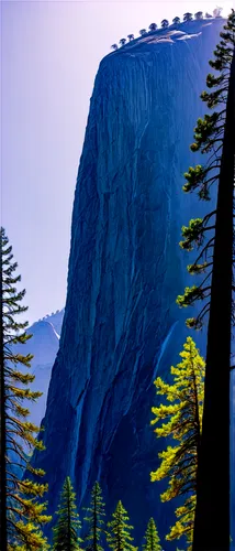 spruce needle,yosemite,yosemite park,half dome,mountain landscape,mountain slope,yosemite valley,salt meadow landscape,yosemite national park,mountainside,mountains,mountain scene,mountainous landscape,giant mountains,coniferous forest,redwood,mountain plateau,spruce forest,half-dome,mountain,Illustration,Vector,Vector 11