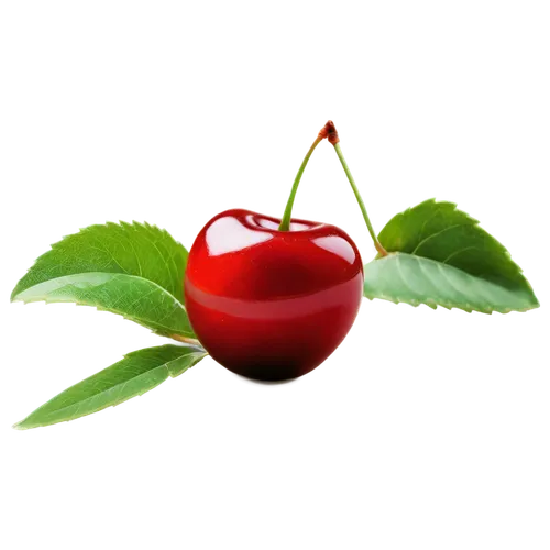 Cherry fruit, solo, red ripe, glossy surface, stem attached, green leaves, detailed texture, juicy pulp, sweet aroma, soft lighting, macro shot, shallow depth of field, warm color tone, cinematic comp