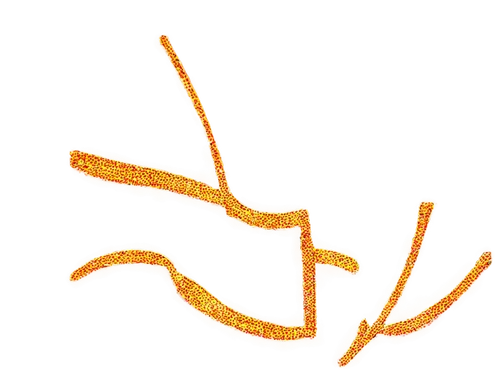 flagella,cordyceps,pylori,dendrites,betaproteobacteria,rna,carotenoid,spirochete,cytoskeletal,microtubules,golgi,citronella,eubacteria,spirochetes,tendon,tubules,enoki,spermatozoa,gorgonian,carotene,Illustration,Abstract Fantasy,Abstract Fantasy 23