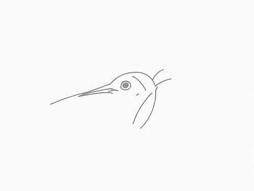 white ibis,spoonbill,bird outline,bird drawing,ibis,woodcreeper,Design Sketch,Design Sketch,Rough Outline