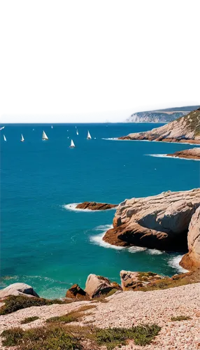 Calming ocean scene, blue waters, waves gently crashing, rocky shores, sailboats in distance, seagulls flying overhead, sunny day, clear sky, 3/4 composition, shallow depth of field, warm color tone, 