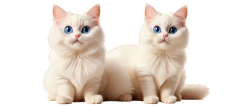 turkish van,siamese,turkish angora,japanese bobtail,oriental shorthair,siamese cat,two cats,salt and pepper shakers,white cat,cat image,birman,cats,felines,breed cat,cats angora,cartoon cat,transparent background,cat vector,tonkinese,polydactyl cat,Unique,Design,Blueprint