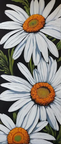 marguerite daisy,african daisies,barberton daisies,ox-eye daisy,daisy flowers,oxeye daisy,australian daisies,shasta daisy,daisies,flower painting,african daisy,marguerite,south african daisy,white daisies,david bates,wood daisy background,flowers fabric,leucanthemum,flower fabric,gazania,Illustration,Black and White,Black and White 12