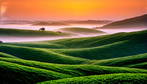 tea field,tea plantations,tea plantation,rice terraces,green landscape,rolling hills,windows wallpaper,toscane,rice fields,foggy landscape,beautiful landscape,palouse,ricefield,landscape photography,ricefields,landscape background,toscana,nature landscape,landscape nature,tea garden,Photography,Fashion Photography,Fashion Photography 17