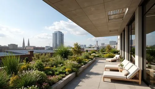 roof garden,roof terrace,penthouses,roof landscape,highline,limewood,roof top,landscape design sydney,landscaped,balcony garden,corten steel,sundeck,bermondsey,landscape designers sydney,terraza,terrasse,bankside,block balcony,southwark,roof top pool