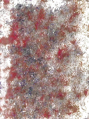 stereogram,reddish autumn leaves,stereograms,degenerative,liquidambar,generated,maple foliage,autumn frame,kngwarreye,autumn leaf paper,autumn foliage,leaves frame,autumnal leaves,fall foliage,generative,chestnut tree with red flowers,percolated,currant decorative,red leaves,crabapples,Illustration,Vector,Vector 20