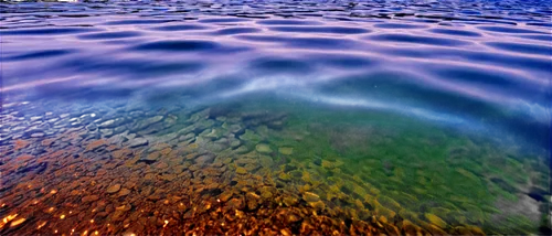 water surface,reflection of the surface of the water,waterscape,colorful water,water scape,underwater landscape,ripples,water waves,surface tension,sea water splash,ripple,on the water surface,underwater background,reflection in water,oil in water,flowing water,shallows,tide pool,fluid,ocean underwater,Illustration,American Style,American Style 04