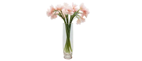 flowers png,artificial flower,tuberose,elven flower,flower vase,bulb,narcissus pink charm,lily of the valley,glass vase,hymenocallis,tulipa,crinum,uniflora,pink tulip,tulip background,tulip bouquet,bulbs,amaryllis,madonna lily,halogen bulb,Photography,Documentary Photography,Documentary Photography 07