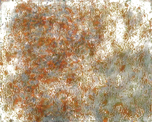 brown mold,sphagnum,impasto,amphibole,seamless texture,lichens,terrazzo,eclogite,pomace,orpiment,degenerative,lichen,anthracnose,granite texture,propolis,petrographic,tree texture,kngwarreye,color texture,biofilm,Photography,Fashion Photography,Fashion Photography 07