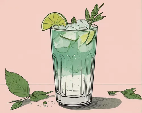 mojito,mint julep,caipirinha,mint blossom,limeade,caipiroska,lemon mint,planter's punch,melon cocktail,apple mint,spritzer,tropical drink,crème de menthe,a drink,non-alcoholic beverage,spearmint,gin and tonic,lemonsoda,cream soda,cocktail,Illustration,Vector,Vector 03