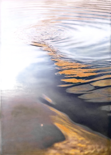 Water ripples, calm lake, morning dew, gentle waves, circular patterns, soft sunlight reflecting off water, shallow depth of field, warm color tone, 3/4 composition, realistic texture, transparent bac