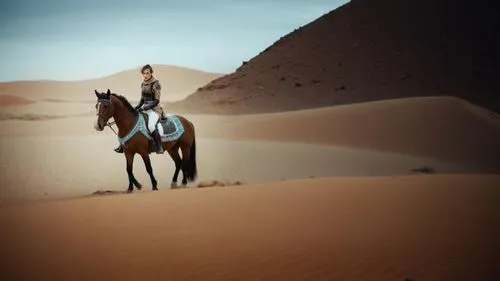 libyan desert,arabian horse,sahara desert,capture desert,sahara,arabian horses,merzouga,desert background,arabian camel,dubai desert,desert,gobi desert,desert safari dubai,admer dune,desert run,arabian,desert safari,desert racing,the gobi desert,pure-blood arab