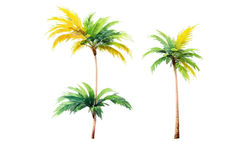 palm tree vector,palmtrees,palmtree,two palms,palm,cartoon palm,palm tree,palm trees,coconut palms,palms,heads of royal palms,fan palm,royal palms,palm pasture,palm in palm,palm silhouettes,easter palm,palm fronds,palm spings,coconut palm tree,Photography,Documentary Photography,Documentary Photography 23