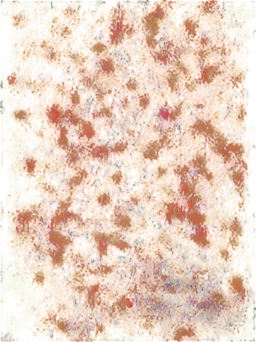 autumn leaf paper,reddish autumn leaves,round autumn frame,fall leaf border,autumn frame,autumnal leaves,maple foliage,fall foliage,autumn pattern,kngwarreye,autumn foliage,spring leaf background,autumn background,colored leaves,autumn leaves,digital scrapbooking paper,leaves frame,fall leaves,liquidambar,crabapples,Illustration,Black and White,Black and White 03