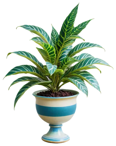 potted plant,potted palm,pot plant,fern plant,dracaena,houseplant,potted tree,hostplant,green plant,dracena,money plant,mixed cup plant,container plant,norfolk island pine,dark green plant,zamia,plant pot,small plant,rank plant,indoor plant,Art,Classical Oil Painting,Classical Oil Painting 42