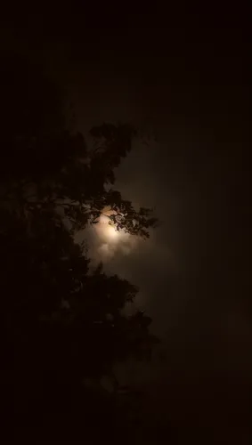 moonlit night,moon in the clouds,moonlit,moon at night,night photograph,moonrise,full moon,night image,moonlight,the moon,moon night,moon photography,big moon,light of night,moonbow,moonshine,super mo