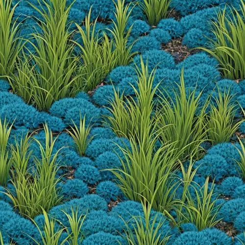 cyanescens,groundcovers,acampora,cleanup,microflora,muscari armeniacum,ground cover,crassulaceae,cyanobacterium,wheatgrass,juglandaceae,plant bed,cyperaceae,lomandra,sedums,aspergillus,vegetables landscape,bluebunch,blue eggs,tetraploid,Illustration,Abstract Fantasy,Abstract Fantasy 10