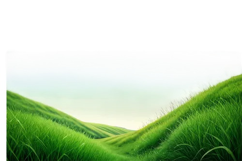 green wallpaper,green landscape,green background,landscape background,grassy,gras,green grass,green,green fields,nature background,grass,aaaa,moss landscape,green meadow,greenness,grassland,verdant,frog background,long grass,grasslike,Illustration,Realistic Fantasy,Realistic Fantasy 30