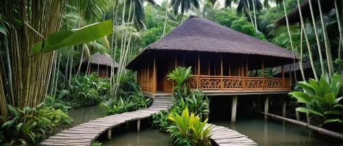 ubud,tropical house,tropical forest,amazonica,tropical jungle,shangrila,rainforest,anantara,tropical island,javanese traditional house,tree house hotel,stilt house,gondwanaland,longhouse,amazonia,indonesia,kinabatangan,longhouses,borneo,rain forest,Photography,Fashion Photography,Fashion Photography 19