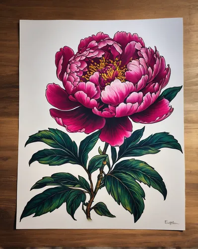 Imagine a vibrant peony tattoo that embodies strength and resilience.,peony frame,pink peony,peony bouquet,peony,peony pink,rose flower illustration,peonies,mandala flower illustration,chinese peony,f