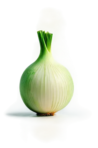 Cross-section onion, white background, detailed layers, circular shape, crunchy texture, translucent rings, green shoots, soft focus, shallow depth of field, warm lighting, 3/4 composition, high contr