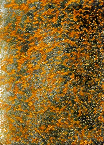 carpet,granite texture,marpat,road surface,carpeted,terrazzo,pavement,fabric texture,leopardskin,seamless texture,brown mold,pomace,honeycomb stone,checkerspot,jacquard,carpeting,moquette,kngwarreye,brocade carp,abstract gold embossed,Conceptual Art,Fantasy,Fantasy 06