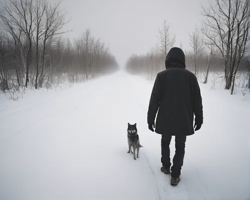 boy and dog,walking dogs,dog walking,dog walker,the cold season,companion dog,winter background,malinois and border collie,human and animal,girl with dog,winters,walk,go for a walk,walking man,belgian shepherd malinois,hard winter,dog sled,the snow falls,winter animals,hooded man,Photography,Documentary Photography,Documentary Photography 04