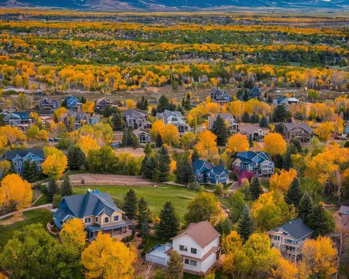 aspen,colorado,telluride,vail,american aspen,fall landscape,utah,fall colors,yukon territory,denver,fall foliage,alberta,golden autumn,wyoming,montana,fairbanks,minnesota,aurora village,colors of autumn,autumn colors,Illustration,Retro,Retro 06