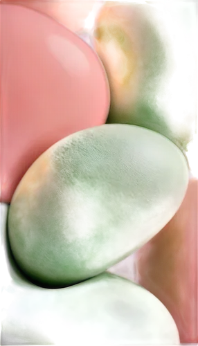 softgel capsules,nopal,pistachio nuts,pachyphytum,green soybeans,dango,broad bean,winter melon,kidney beans,monocotyledon,isolated product image,painted eggshell,eggs,cosmetic brush,smooth stones,muskmelon,egg,vigna radiata,stylized macaron,tangyuan,Illustration,Realistic Fantasy,Realistic Fantasy 41