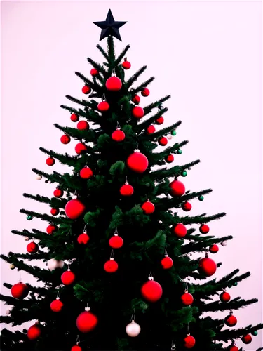 kerschbaum,christmas background,derivable,christmasbackground,tannenbaum,christmas tree,bierenbaum,the christmas tree,nordmann fir,fir tree,christmas motif,decorate christmas tree,bichlbaum,fir tree decorations,albero,kleinbaum,seasonal tree,sapin,gruenbaum,christmas pine,Illustration,Realistic Fantasy,Realistic Fantasy 46