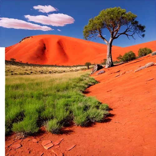 Australian landscape, vast desert, red earth, spinifex grass, unique rock formations, lone tree, vibrant blue sky, dramatic clouds, warm sunlight, panoramic view, low-angle shot, cinematic composition