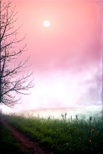 foggy landscape,evening atmosphere,dusk background,volumetric,landscape background,dayz,virtual landscape,daybreak,nature background,foresees,dreamfall,dawn,plains,eventide,cryengine,enb,distant,coucher,sundering,pink dawn,Illustration,Abstract Fantasy,Abstract Fantasy 13