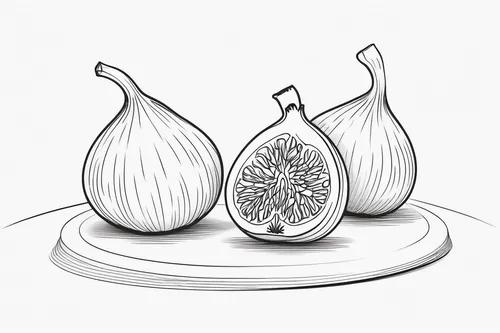 persian onion,still life with onions,onion bulbs,cultivated garlic,bulgarian onion,endive,pear cognition,roasted garlic,garlic bulb,fennel bulbs,welsh onion,ornamental onion,onion,figleaf gourd,clove garlic,onion peels,white onions,pearl onion,chinese garlic,shallot,Illustration,Black and White,Black and White 04