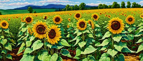 sunflower field,sunflowers,sunflowers and locusts are together,sunflower coloring,sunflower paper,sun flowers,helianthus sunbelievable,sunflowers in vase,helianthus,woodland sunflower,rudbeckia,sunflower,sunflower seeds,flower field,flowers sunflower,flowers field,helianthus occidentalis,perennials-sun flower,helianthus annuus,blooming field,Illustration,Retro,Retro 11