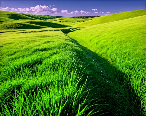 Widespread landscape, lush green grass, rolling hills, few trees scattered, sunny day, clear blue sky, fluffy white clouds, warm lighting, 3/4 composition, shallow depth of field, vibrant color tone, 