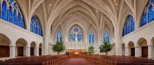 christ chapel,presbytery,pcusa,interior view,collegiate basilica,mercersburg,interior,sanctuary,pipe organ,the interior,choir,pews,transept,mdiv,chapel,reredos,nave,vaulted ceiling,gesu,houston methodist,Illustration,Children,Children 05