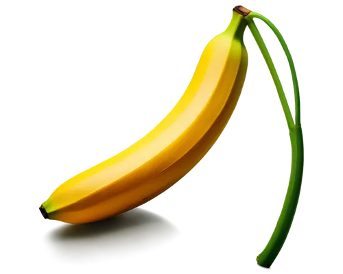 banana,monkey banana,saba banana,banana peel,bananas,banana cue,nanas,banana tree,banana plant,ripe bananas,superfruit,banana apple,dolphin bananas,schisandraceae,banana flower,banana trees,semi-ripe,anaga,mangifera,banana family,Art,Artistic Painting,Artistic Painting 24