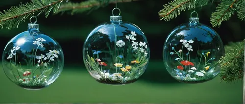 Create delicate glass ornaments for a peaceful garden setting.,glass ornament,glass decorations,fir tree decorations,christmas ornaments,snowglobes,christmas baubles,christmas tree bauble,christmas tr