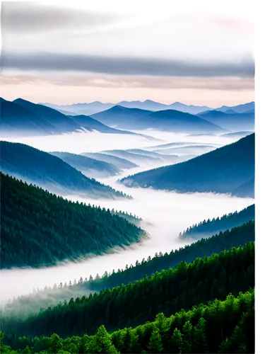 foggy landscape,bavarian forest,northern black forest,foggy mountain,wave of fog,ore mountains,landscape background,sea of fog,mountainous landscape,carpathians,schwarzwald,mountain landscape,sea of clouds,mountain valleys,foggy forest,fog banks,black forest,beech mountains,forest landscape,world digital painting,Photography,Documentary Photography,Documentary Photography 04