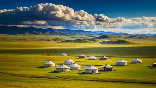 MONGOLIAN PLAIN NATIVE FIELD ,a herd of white domes in a grassy plain,mongolia eastern,nature of mongolia,the mongolian-russian border mountains,inner mongolian beauty,nature mongolia,mongolia,the mon