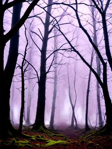 foggy forest,haunted forest,foggy landscape,copse,ground fog,beech trees,mists,nebel,the forest,dense fog,wuthering,woodland,woodcreepers,copses,the woods,forest of dreams,elfland,the fog,holloways,taunus,Conceptual Art,Oil color,Oil Color 15