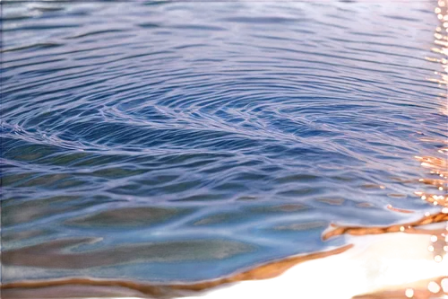 ripples,rippling,rippled,water surface,water waves,surface tension,sand ripples,reflection of the surface of the water,ripple,waterscape,waterline,water scape,wavelets,flowing water,feather on water,waterflow,wavelet,ripple marks,water flow,water splashes,Illustration,Japanese style,Japanese Style 16