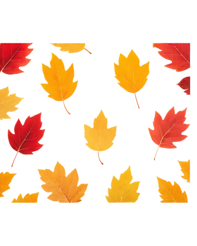 maple leaf red,autumn leaf paper,fall leaf border,maple leave,leaf background,maple leaves,maple leaf,autumn plaid pattern,yellow maple leaf,maple foliage,red maple leaf,autumn pattern,autumn background,autumnal leaves,leaf border,leaf icons,colored leaves,spring leaf background,canadian flag,leaf rectangle,Conceptual Art,Fantasy,Fantasy 18