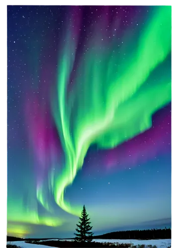 northen lights,norther lights,auroras,northern light,northern lights,green aurora,the northern lights,aurorae,nothern lights,aurora colors,northen light,aurora,polar lights,auroral,northernlight,large aurora butterfly,polar aurora,aurora polar,yellowknife,finnish lapland,Art,Artistic Painting,Artistic Painting 01